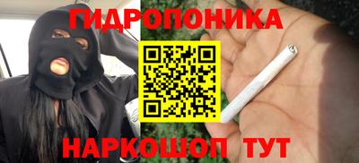 кокс Нальчик