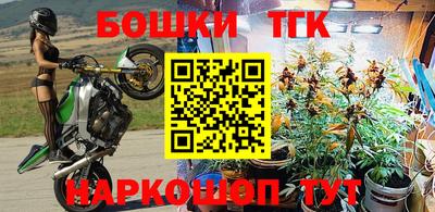 кокс Нальчик